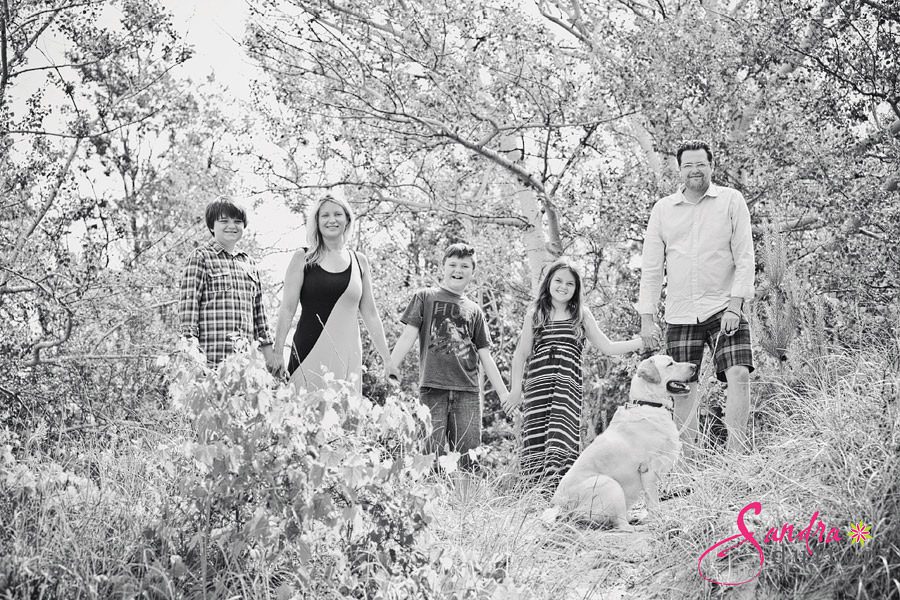 lake huron ontario beach photographers 749