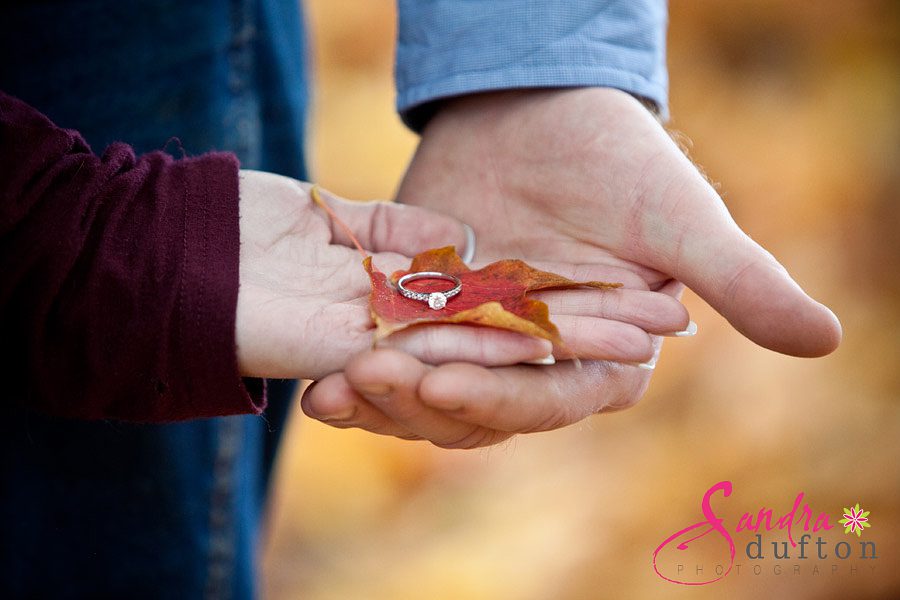 london-ontario-fall-engagement-photographers-742